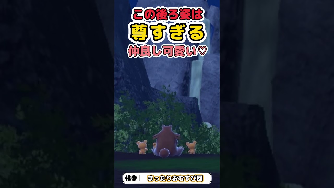リングマ、ヒメグマ、この後ろ姿は尊すぎる…かわいい♡　＃Short　#shorts　＃ポケモンSV