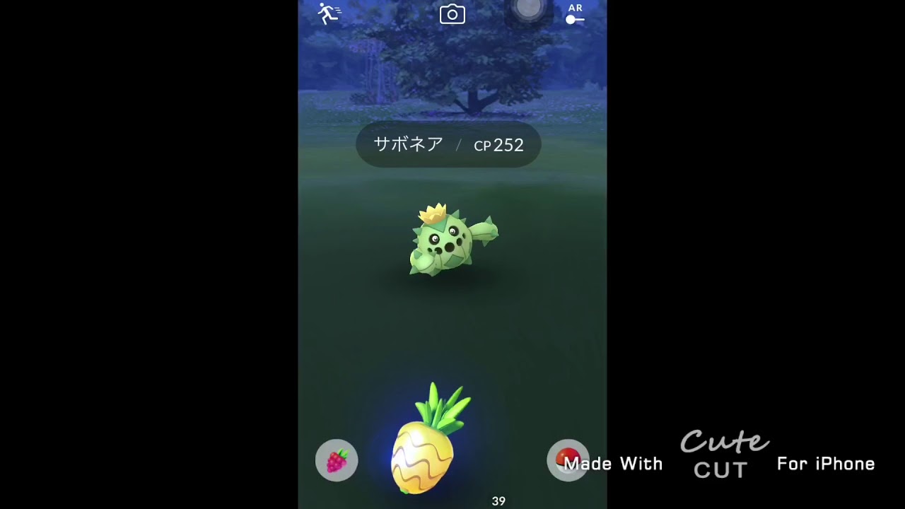 【ポケモンGO】新ポケモン！野生でサボネア捕まえてみた！