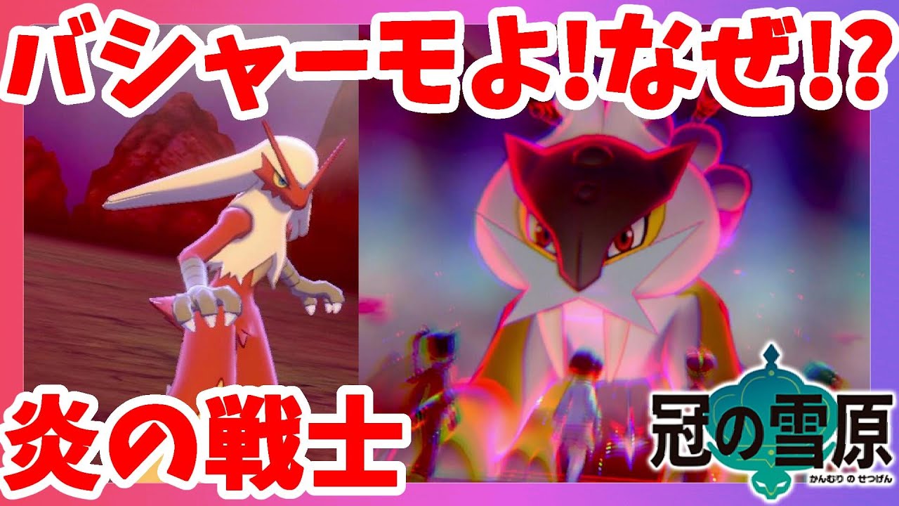 【ポケモンソードシールド】伝説ライコウとバシャーモの出会い！道の途中で出会いたかった！冠の雪原【エキスパンションパス】