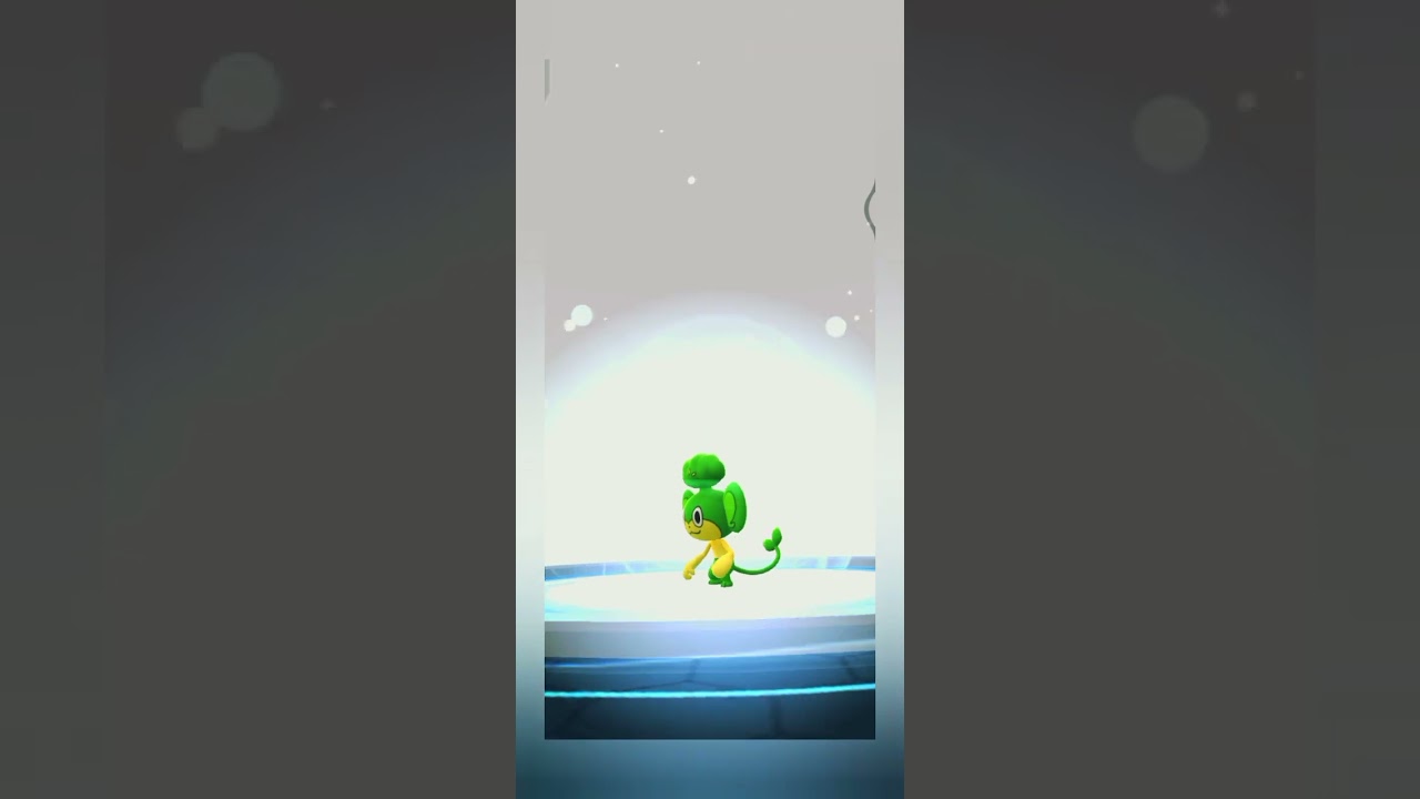 shiny Pansage evolve into simisage in Pokemon Go! || #pokemongo #shinypokemon #shorts