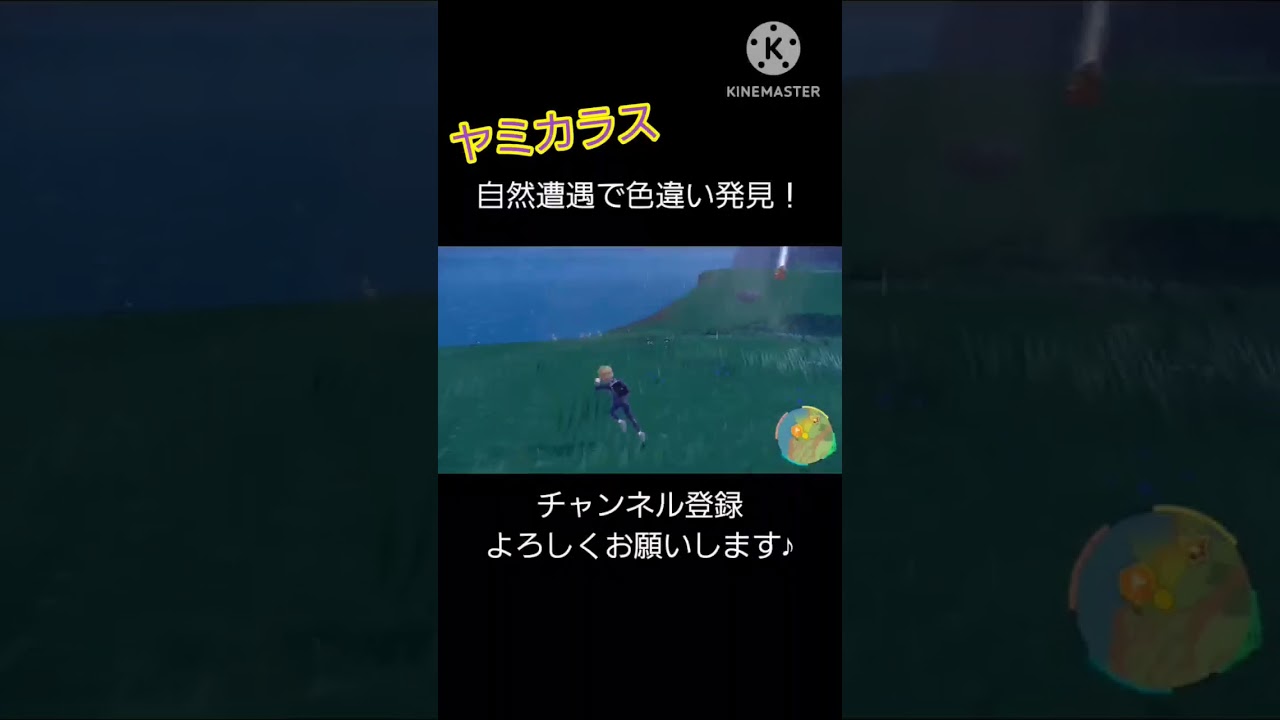 自然遭遇で色違いヤミカラス #ポケモン #色違い #配信者 #おばさん #shorts
