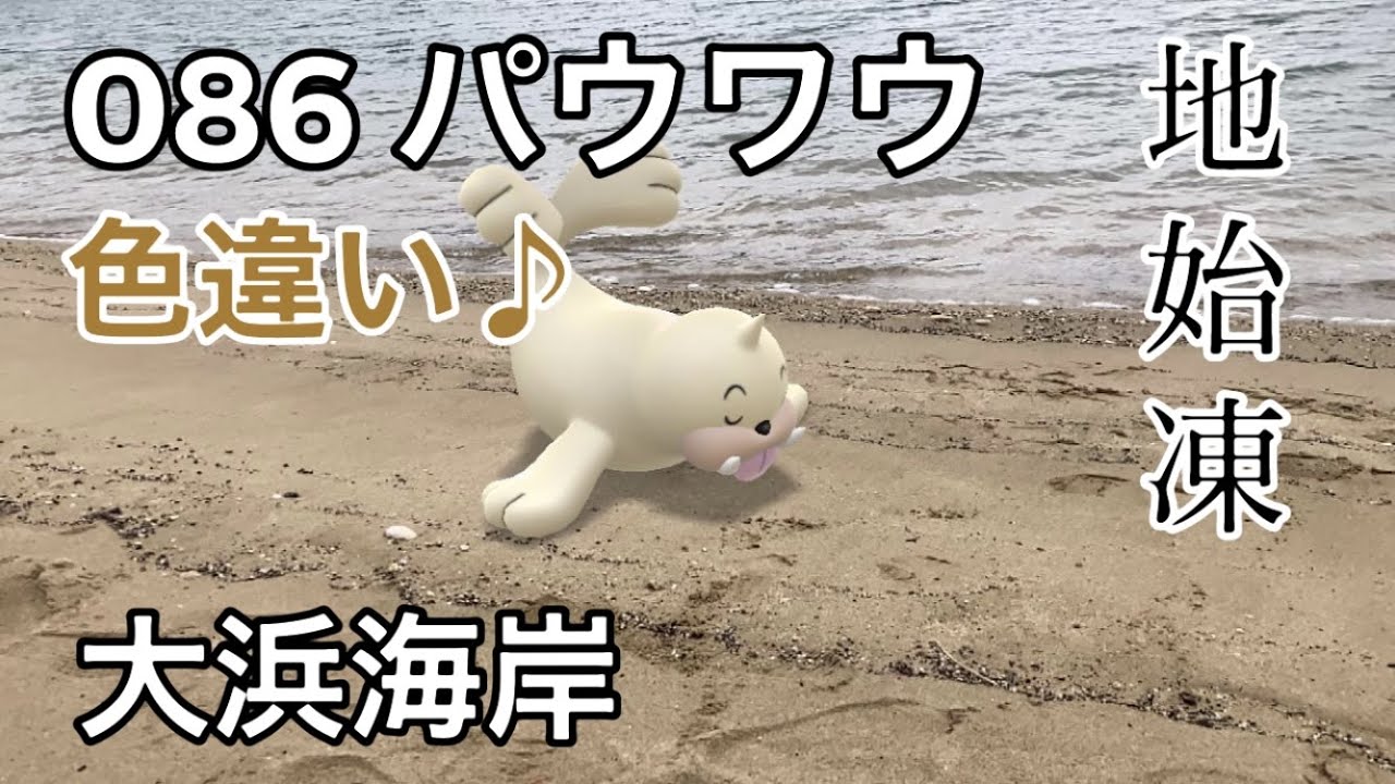 【ポケGO動くポケモンずかん】086 パウワウ｜Seel｜ShinyPokémon ｜地始凍（ちはじめてこおる）｜七十二候｜AR動画｜PoKeMoN GO AR【ポケモンGO】