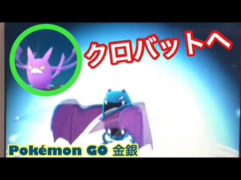 ポケモンGO金銀ゴルバットからクロバットへ進化シーン実況した