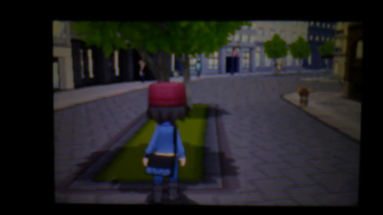 ミアレシティのシシコ/Litleo of Lumiose City