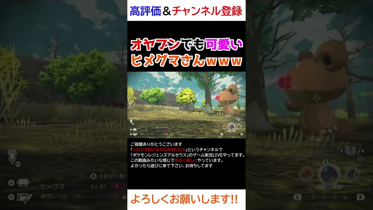 オヤブンでも可愛いヒメグマさんｗww【Pokémon LEGENDS アルセウス】