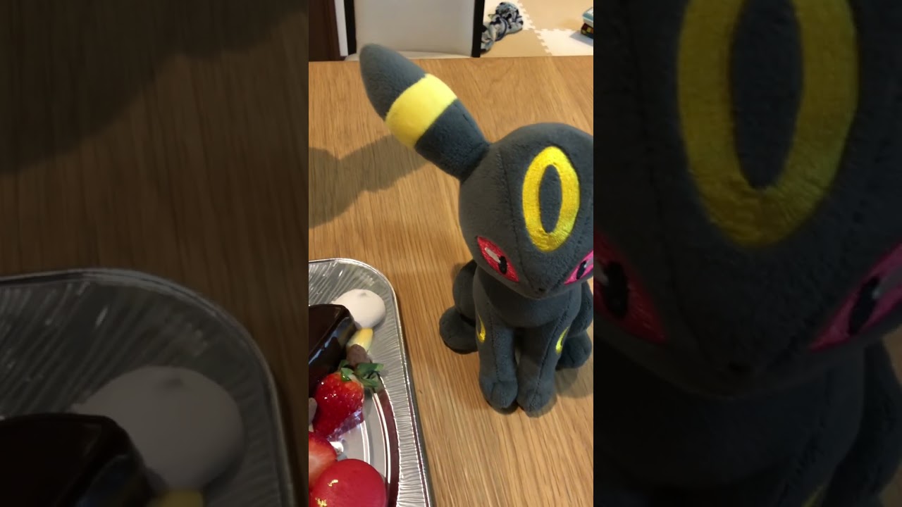 【ポケモン】ユーくんの誕生日を大好きなブラッキー達がお祝いしてくれた🥰🥰🎂#shorts #ポケモン #pokémon #誕生日 #誕生日ケーキ #ブラッキー #ポケモンケーキ
