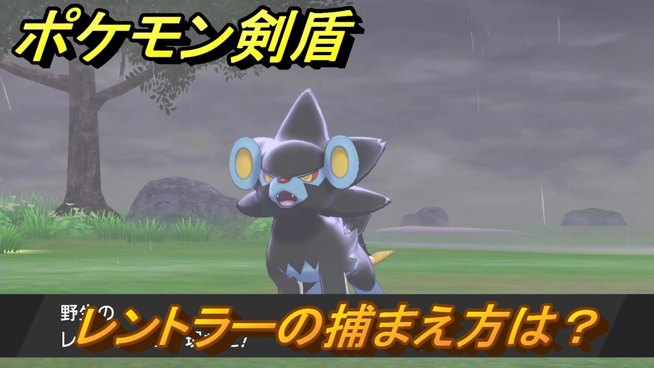 ポケモン剣盾　レントラーを捕まえる方法！オススメの場所は？天気は？ポケモン図鑑コンプへの道！　最新版【ポケモンソード・シールド】