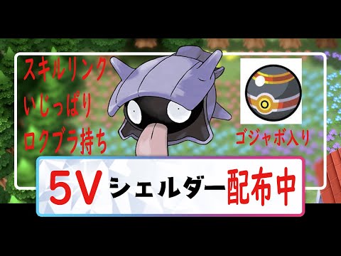 【ポケモン ダイパリメイク】スキルリンク 5V シェルダー 配布中！！性格はいじっぱりです！ロックブラスト持ちでゴージャスボール入り！！