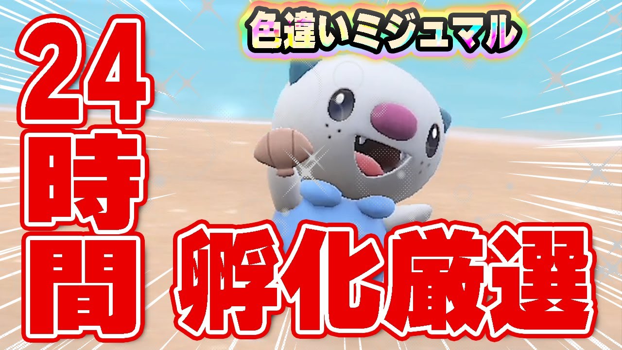 24時間色違い厳選したら色違いミジュマル〇体ゲットできるの？検証してみた！【ポケモンSV】【色違いミジュマル】