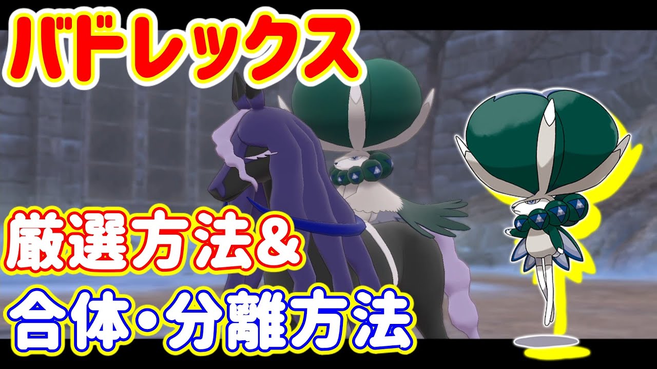 ※固定コメントに追記あり　ミント・王冠を使いたくない方向け：バドレックス（レイスポス・ブリザポスと合体）厳選方法＆合体・分離方法【ポケモン剣盾　冠の雪原】