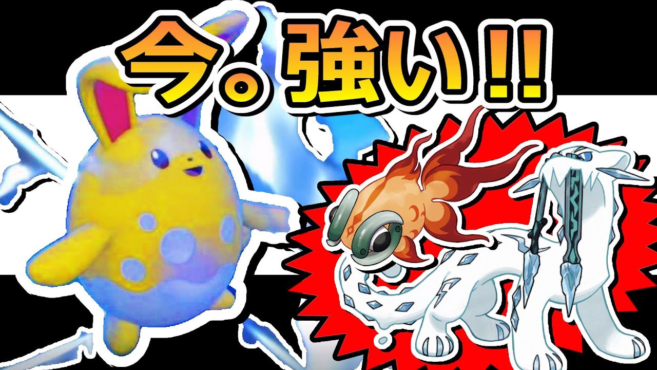 【対 四災 最強】マリルリ、今の環境で再び輝く。【ポケモンSV】