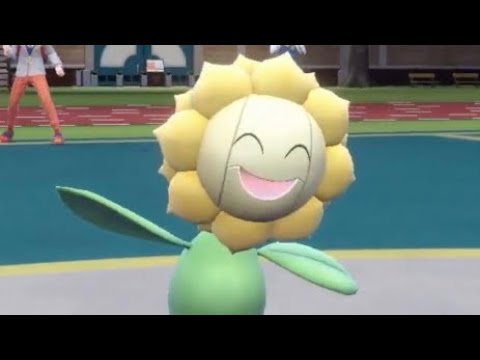 キマワリなめんなよ