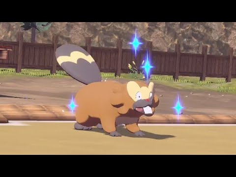 【ポケモンアルセウス】いっぴき道　ビーダルの道 #Shorts