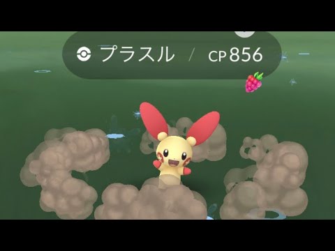 ポケモンgo 野生のプラスルゲットチャレンジ