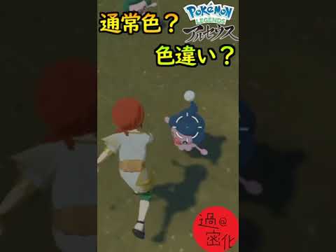 【ポケモンレジェンズアルセウス】どっちが色違いだこれ！！！！！