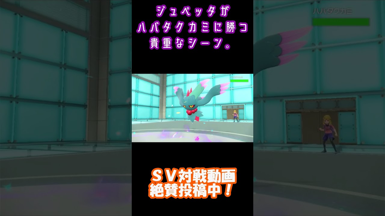 【テラスタル万歳】ジュペッタがハバタクカミに勝つ貴重なシーンです。#shorts