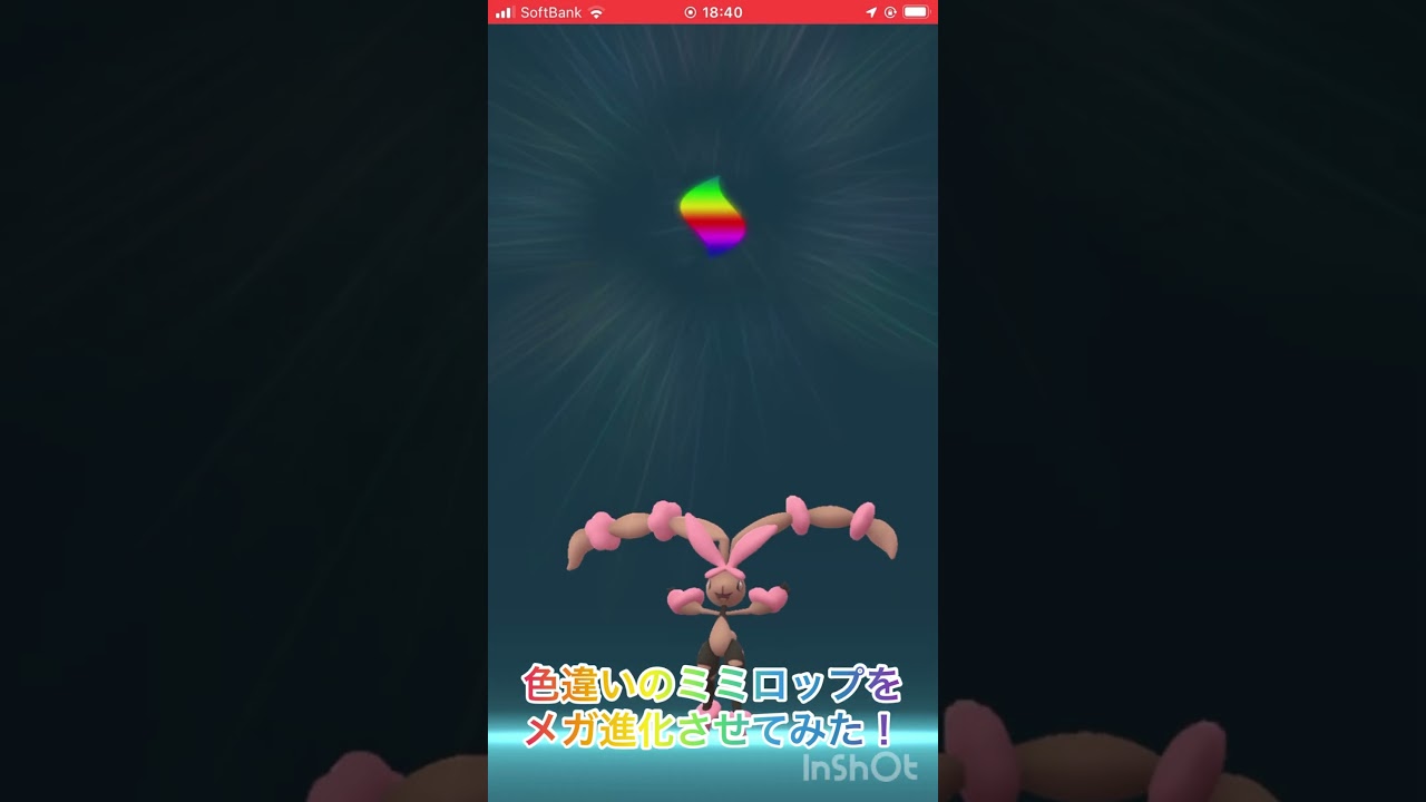 色違いのミミロップをメガ進化させてみた！ #ポケモンgo #pokemongo #色違い #メガ進化 #shorts