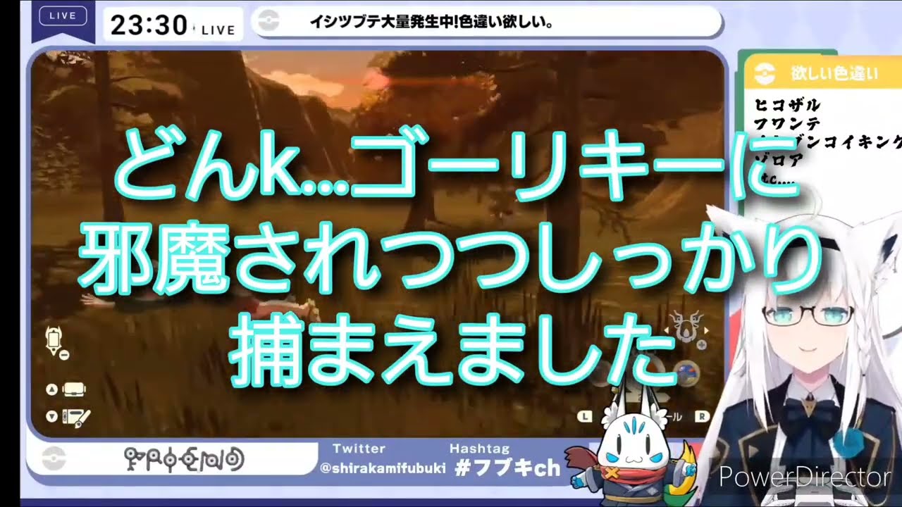 チェリンボの次はイシツブテ耐久しかし邪魔物が…【ホロライブ切り抜き】#白上フブキ切り抜き #白上フブキ #いろちがい #pokémonlegendsアルセウス #アルセウス #ドンキーコング