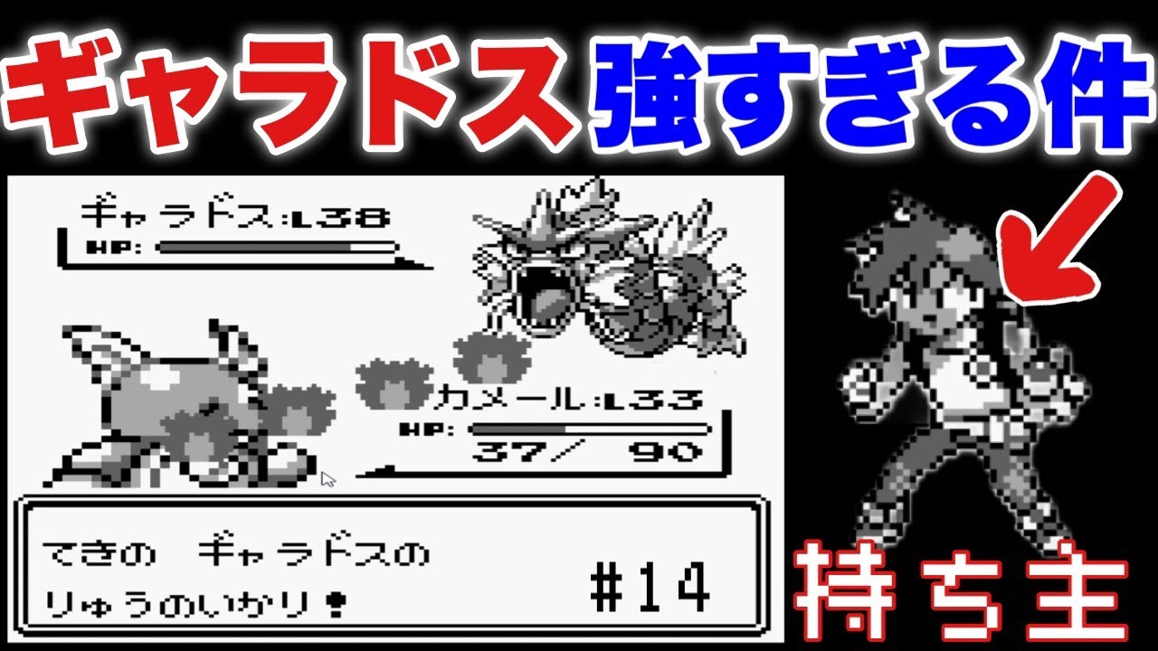 ○○のギャラドスが強すぎる件【大学生が初代ポケモン全クリ目指す】#14