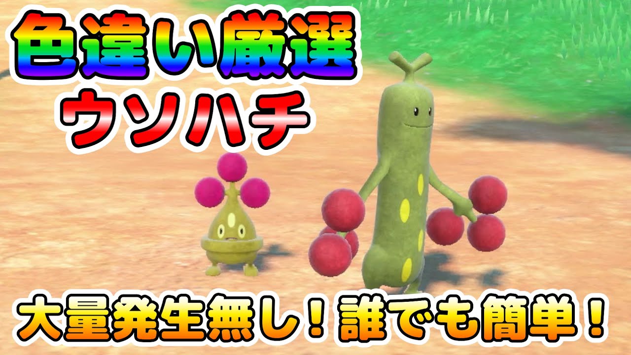 【色厳選】ウソハチ色厳選のオススメ場所はここ！誰でも簡単に効率良く厳選出来る！【ポケモンSV】