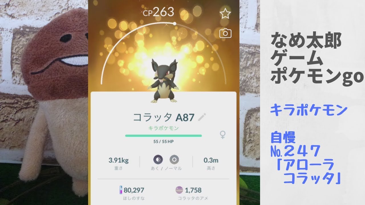【縦画面スマホ向け】なめ太郎のキラポケモン自慢コーナー２４７「アローラコラッタ」【ポケモンgo】