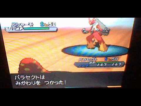 ポケモンランダムフリー１　パラセクトの意地を見よ！　（イノムーも）