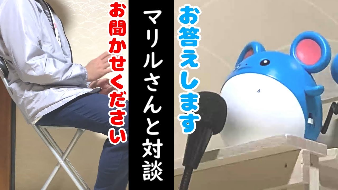 [おもちゃ]りるりるマリルでマリルとお話してみた