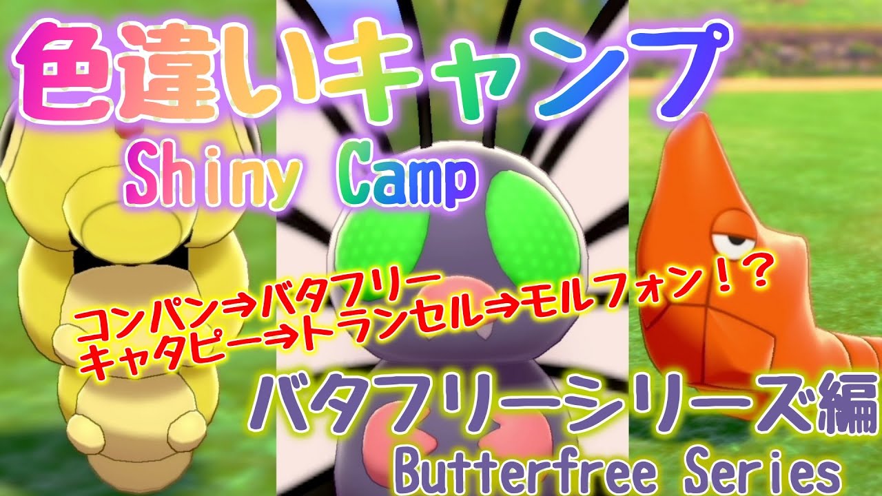 【ポケモン剣盾】色違いキャンプ　キャタピー・トランセル・バタフリー～Shiny Camp Butterfree Series～