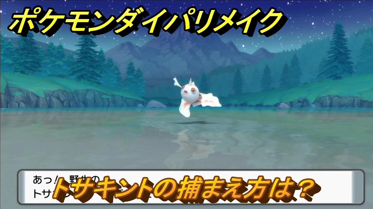 ポケモンダイパリメイク　トサキントの捕まえ方は？出現場所は？　最新版【ブリリアントダイヤモンド・シャイニングパール】
