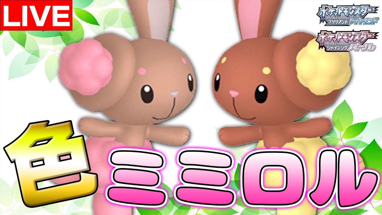 【ポケトレ】ミミロル色厳選!!!【BDSP】