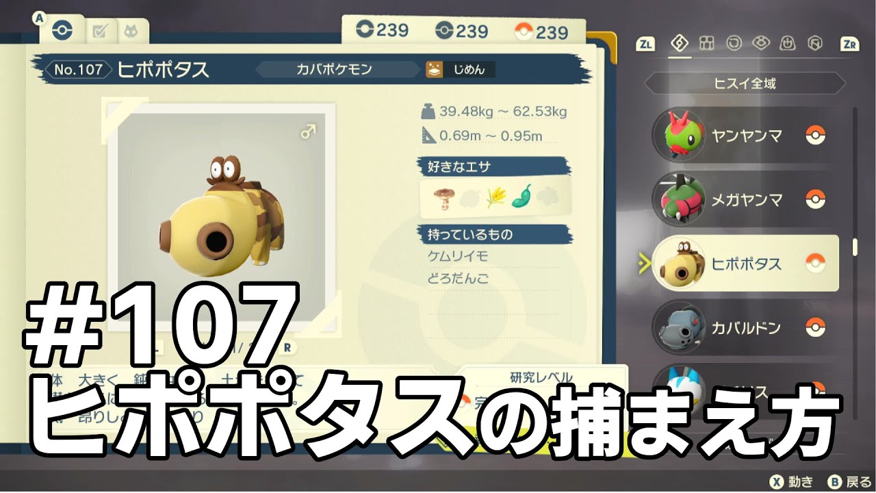ヒポポタスを探している方に見てほしい動画
