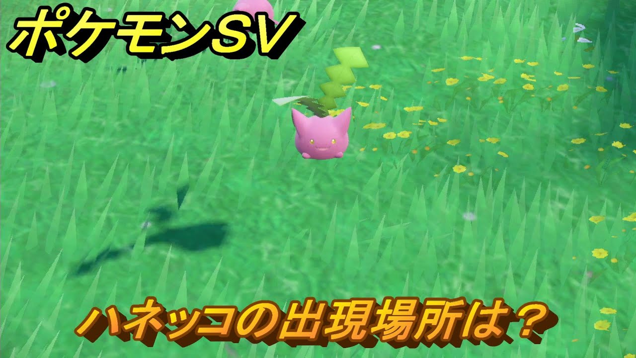 ポケモンＳＶ　ハネッコの出現場所は？ポケモン図鑑を埋めよう！　図鑑No.１６　【スカーレット・バイオレット】