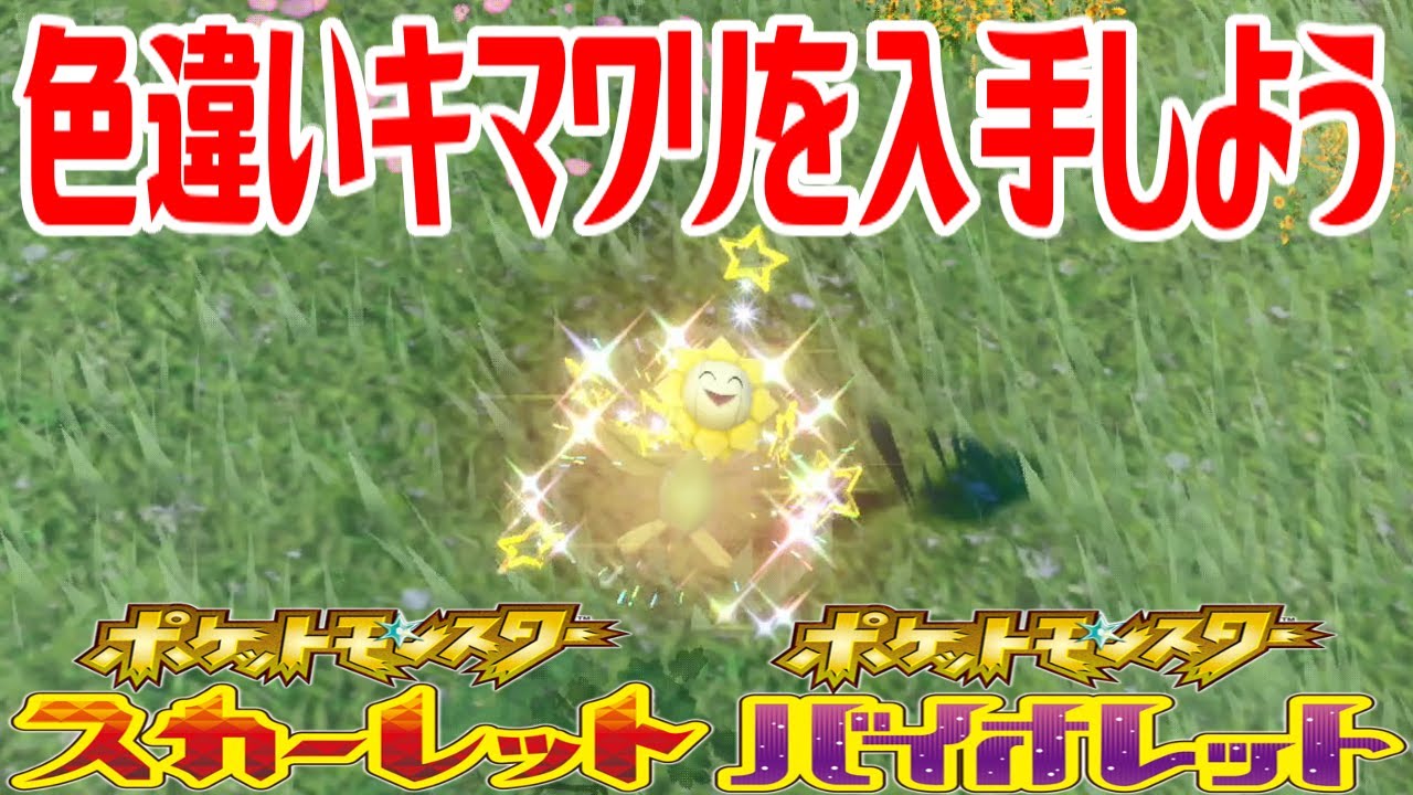 【ポケモンSV】色違いキマワリを入手しよう【ポケットモンスター スカーレット・バイオレット】Pocket Monsters