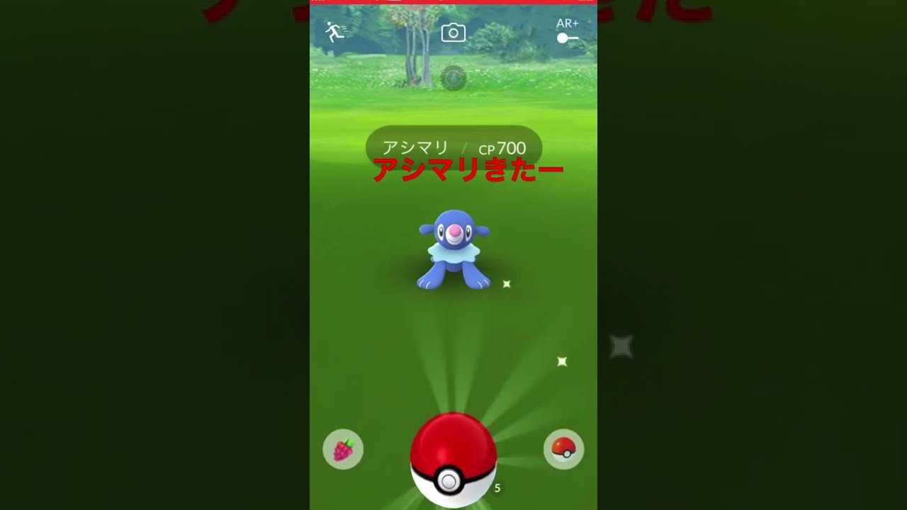 【ポケモンGO】アローラ地方の新実装ポケモン！アシマリかわいい！ #shorts #ポケモンgo #アシマリ