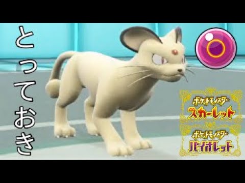 【ポケモンSV】ペルシアンのタイプ一致猫騙し+とっておきは高火力