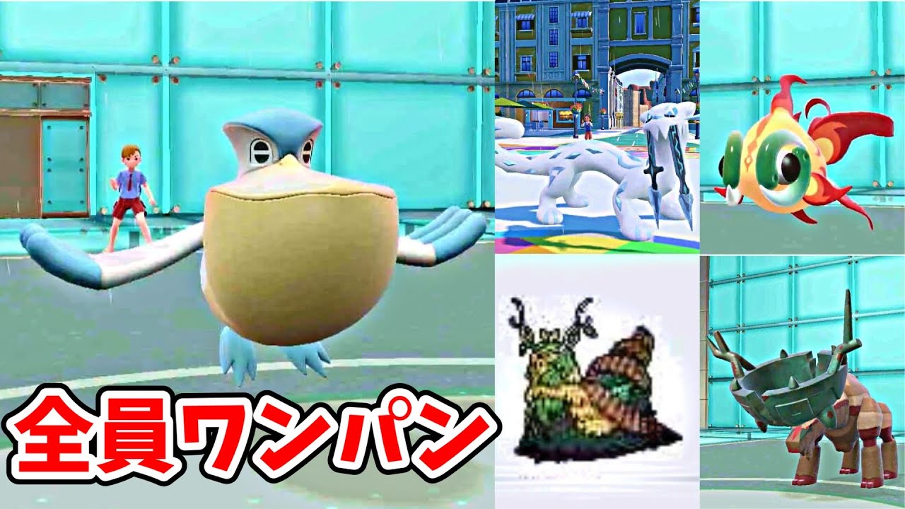 ペリッパーって今最強なのでは？準伝全員ワンパンできる超火力【ポケモンSV】