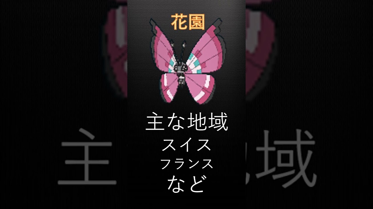 ビビヨンのすべての模様をご紹介！！（友蔵、心の俳句）＃Shorts