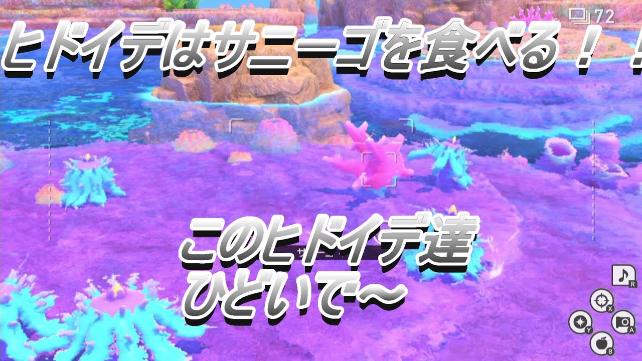 ヒドイデの好物はサニーゴ！！[newポケモンスナップ]#3