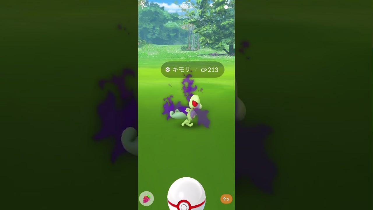 アチャモのモーション可愛い〜 キモリのモーションキモリ〜 #shorts