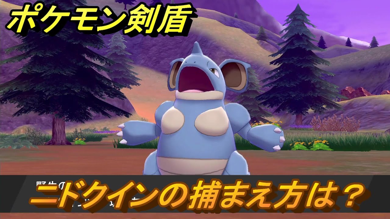 ポケモン剣盾　ニドクインを捕まえる方法！オススメの場所は？天気は？ポケモン図鑑コンプへの道！　最新版【ポケモンソード・シールド】