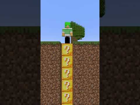 ラッキーブロックを直下掘りしたらラヴェジャー倒せんじゃね【マインクラフト】