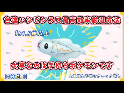 色違いシビシラス最高効率厳選方法 #ポケモンsv #大量発生不要 #ピクニック不要 #シビシラス #シビビール #シビルドン