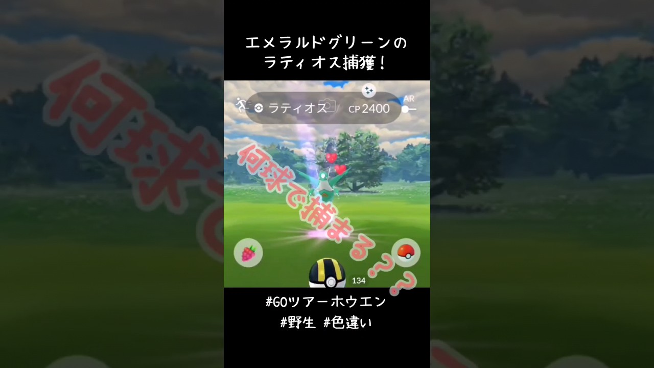 野生からエメラルドグリーンのラティオス捕獲✨✨✨逃げないけど捕まらない😅さて、私は何球使ったでしょう？#ポケモンGO #PokemonGOTourHoenn #色違い