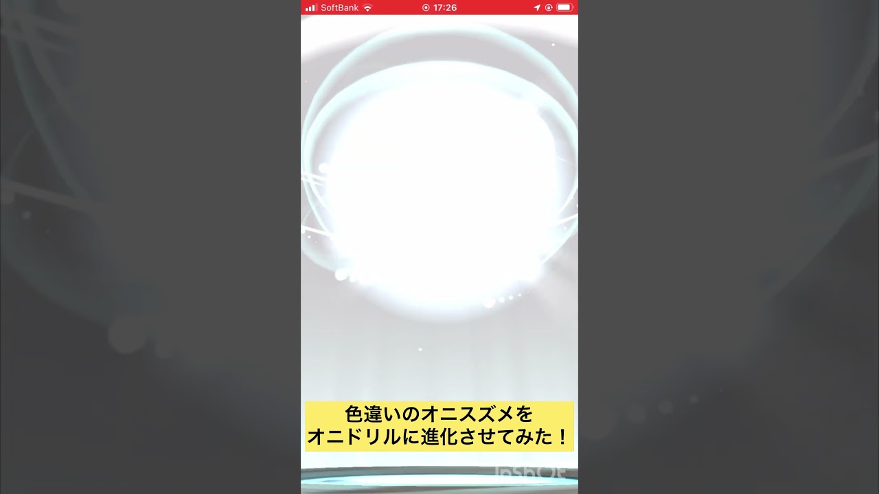 色違いのオニスズメをオニドリルに進化させてみた！ #ポケモンgo #pokemongo #色違い #shorts
