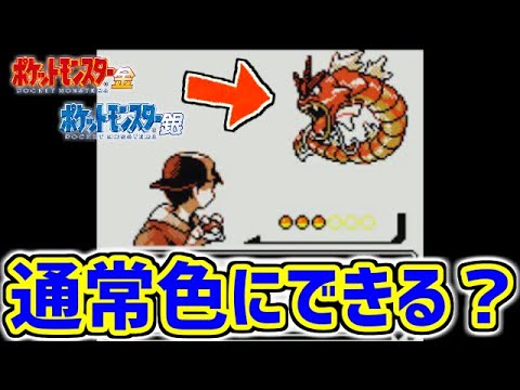 【ポケモン金銀】逆色違いギャラドスってなんだよ・・・