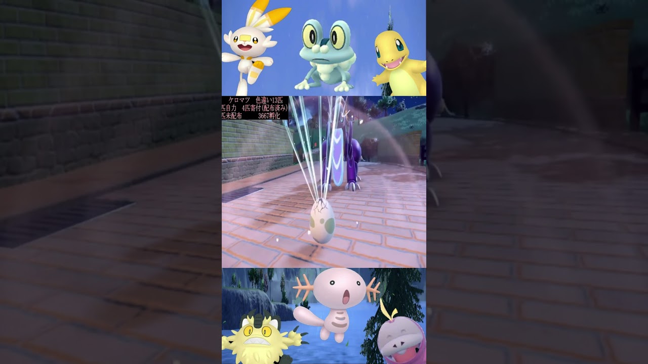 色違いケロマツ オスが出たら続行 メスなら終了結果は？？？