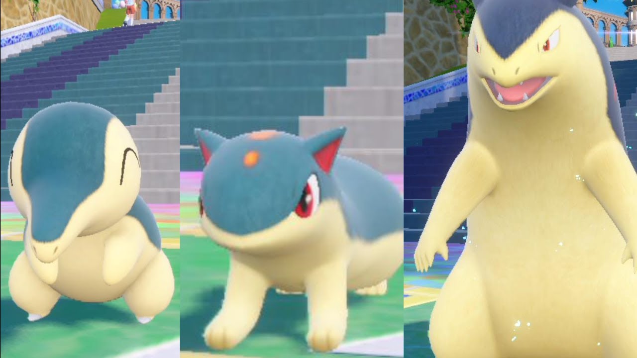 【ポケモンSV】 ヒノアラシ マグマラシ バクフーン モーション集 ピクニック【ポケモン スカーレット・バイオレット】