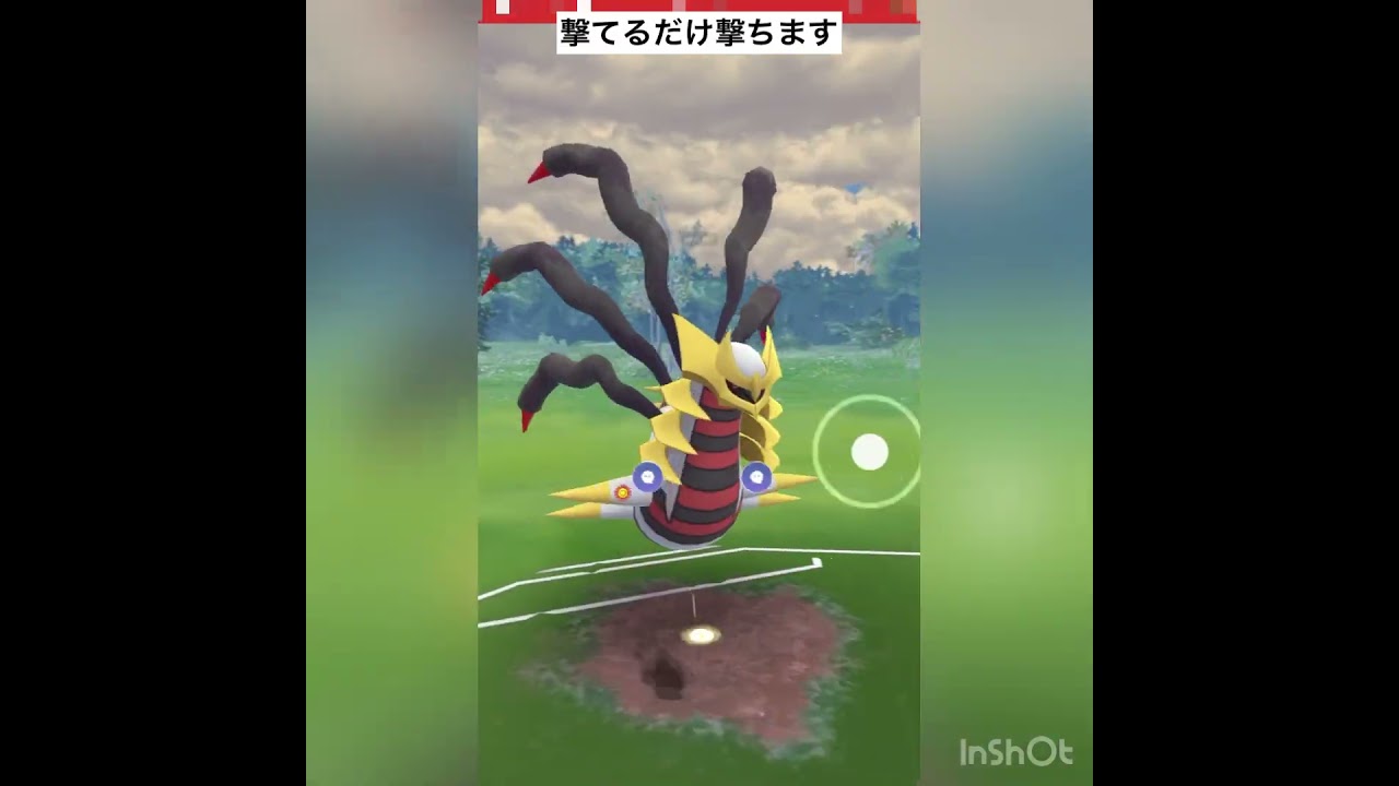 ごめんね…メタグロス🙏