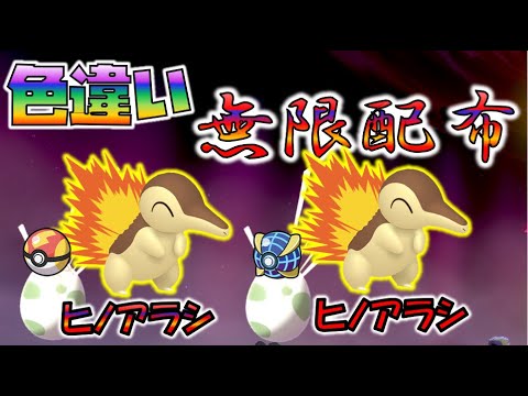 【ポケカ】色違いヒノアラシ無限配布【チューリップバブル】【ポケモンSV】