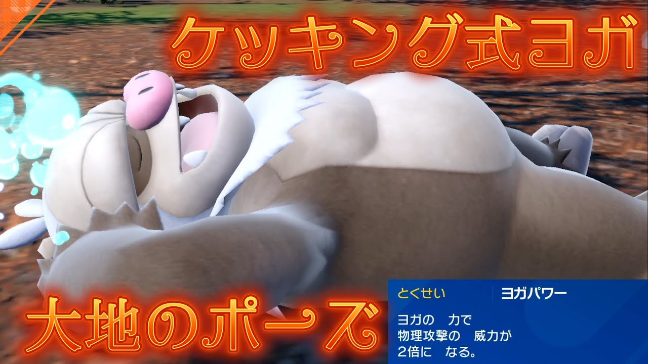 【初めての】ヨガパワーケッキングの可能性を信じろ【ダブルバトル】